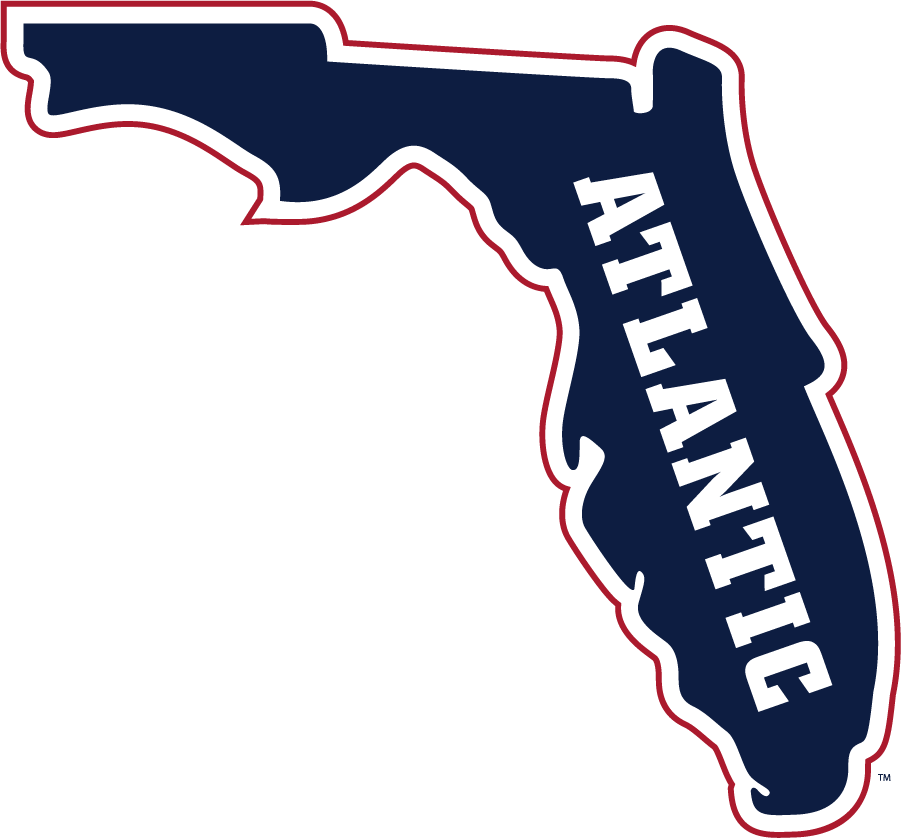 Florida Atlantic Owls 2015-Pres Secondary Logo diy iron on heat transfer